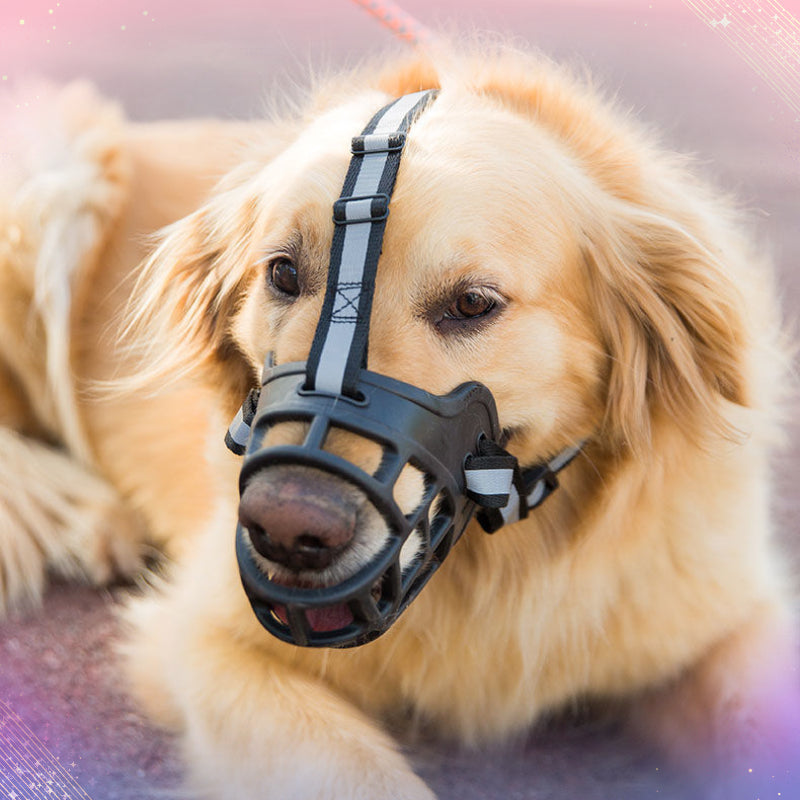 Large Dog Muzzle, Anti-Bite & Anti-Chew Mask for German Shepherds, Golden Retrievers, Labradors - Silent Dog Muzzle with Adjustable Strap, Nylon Material, Pet Training Accessory|Adjustable Dog Muzzle|Durable Dog Muzzle