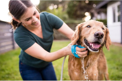 Best-selling pet bathing gadget - Dog massage brush with silicone massage shower head