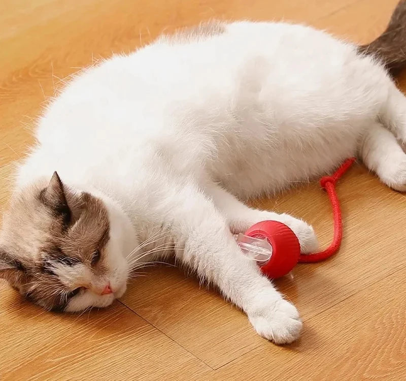 Cat Interactive Ball Toys Automatic Rolling Ball For Kitten Rechargeable Smart Pet Electric Toys With Teaser Sensor Cat Ball Toy