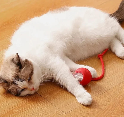 Cat Interactive Ball Toys Automatic Rolling Ball For Kitten Rechargeable Smart Pet Electric Toys With Teaser Sensor Cat Ball Toy